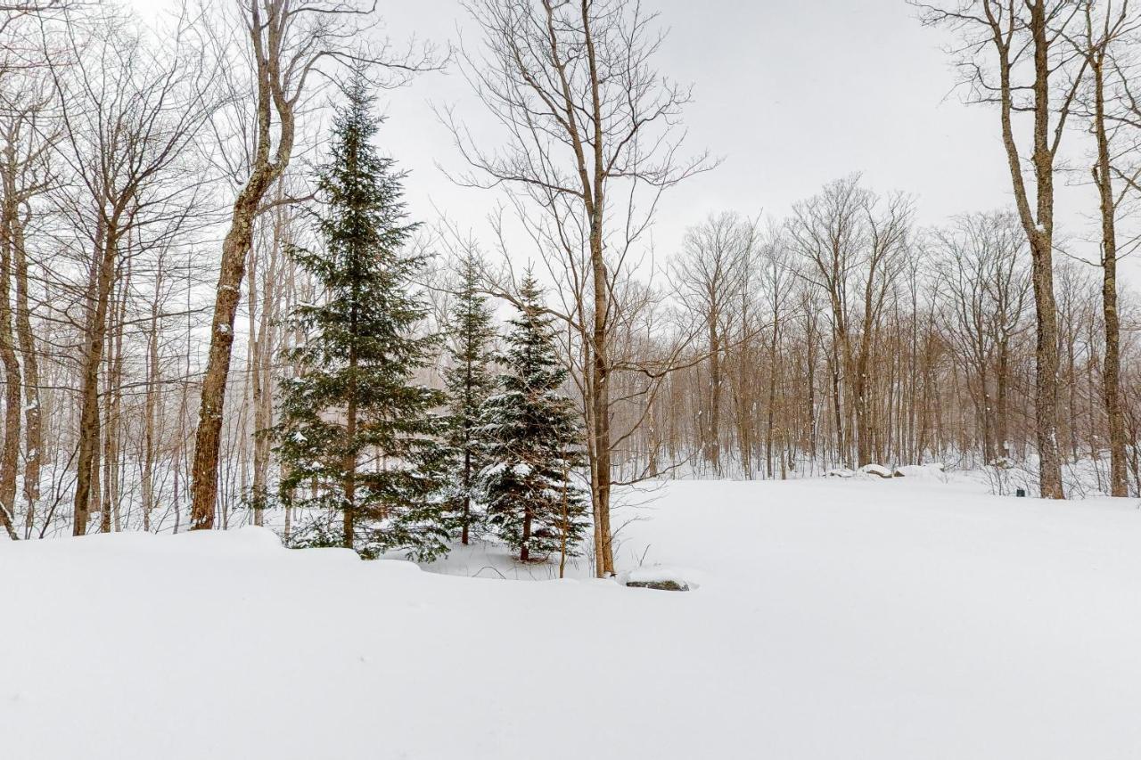 Jay Peak Village Home 367B Esterno foto